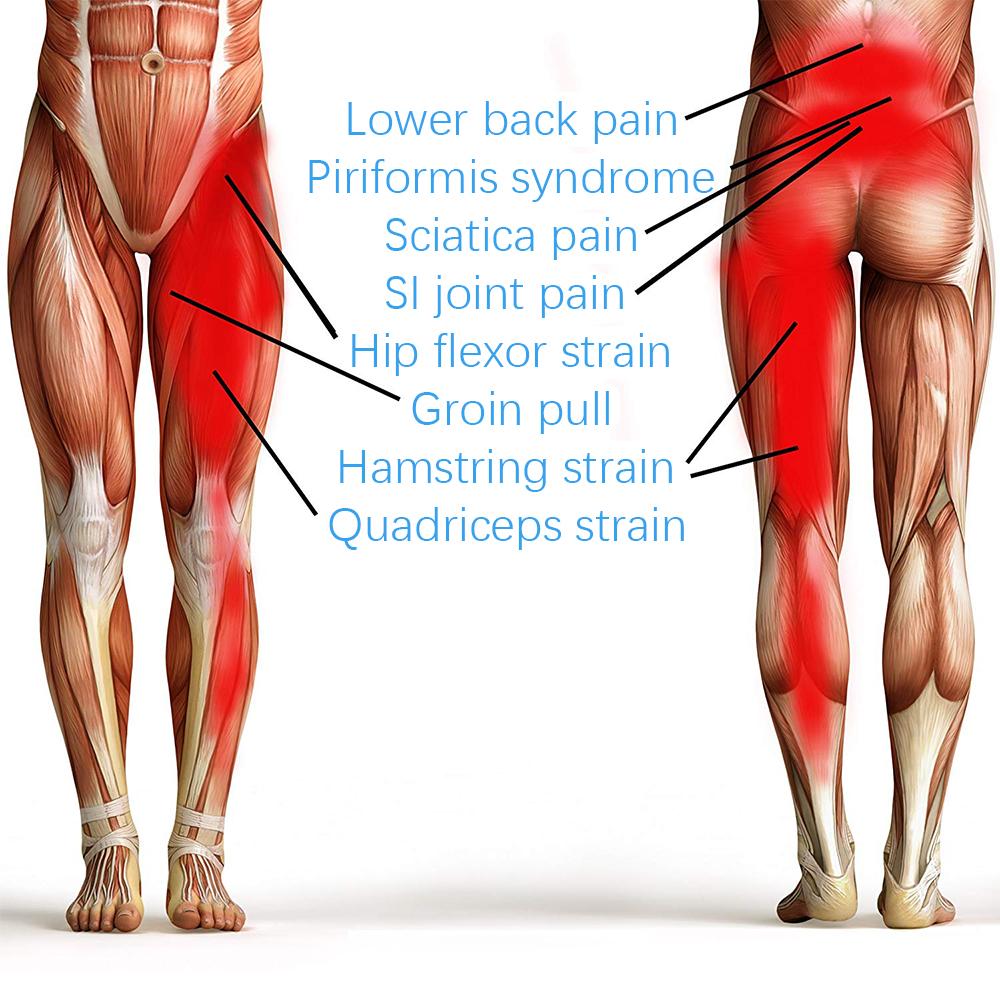 Hip and Groin Support