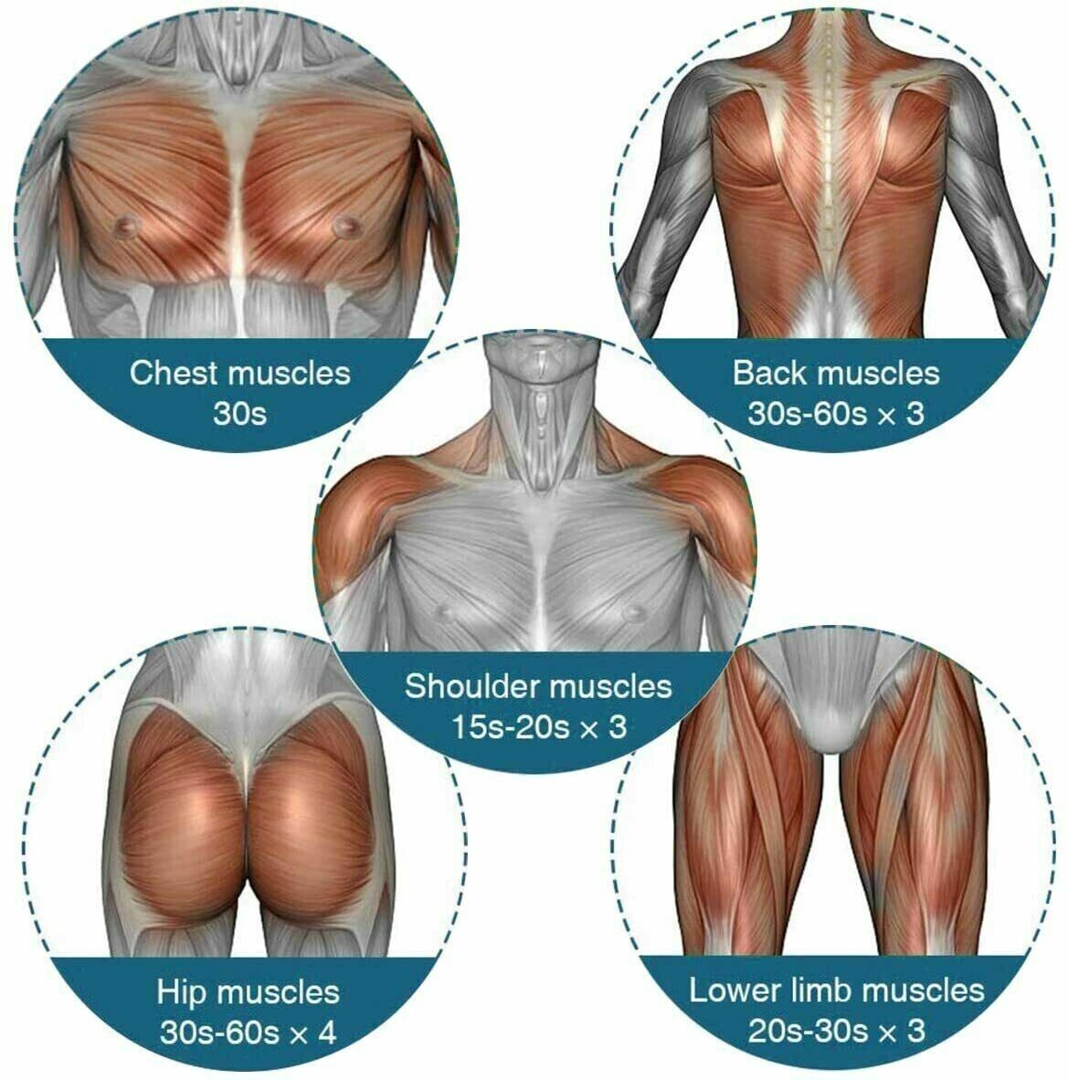Percussion Deep Tissue Massager